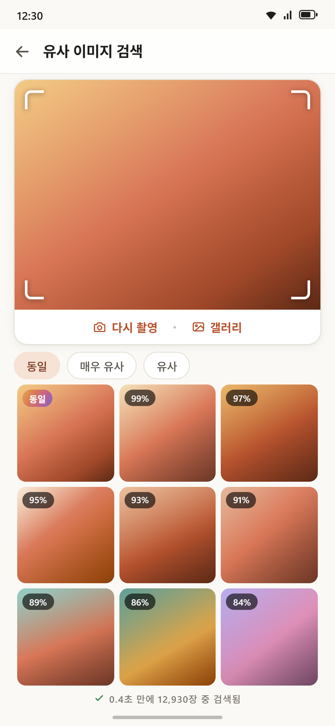 유사 이미지 검색